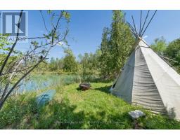 7167 Carscadden Road, Clarington, ON L0B1M0 Photo 39
