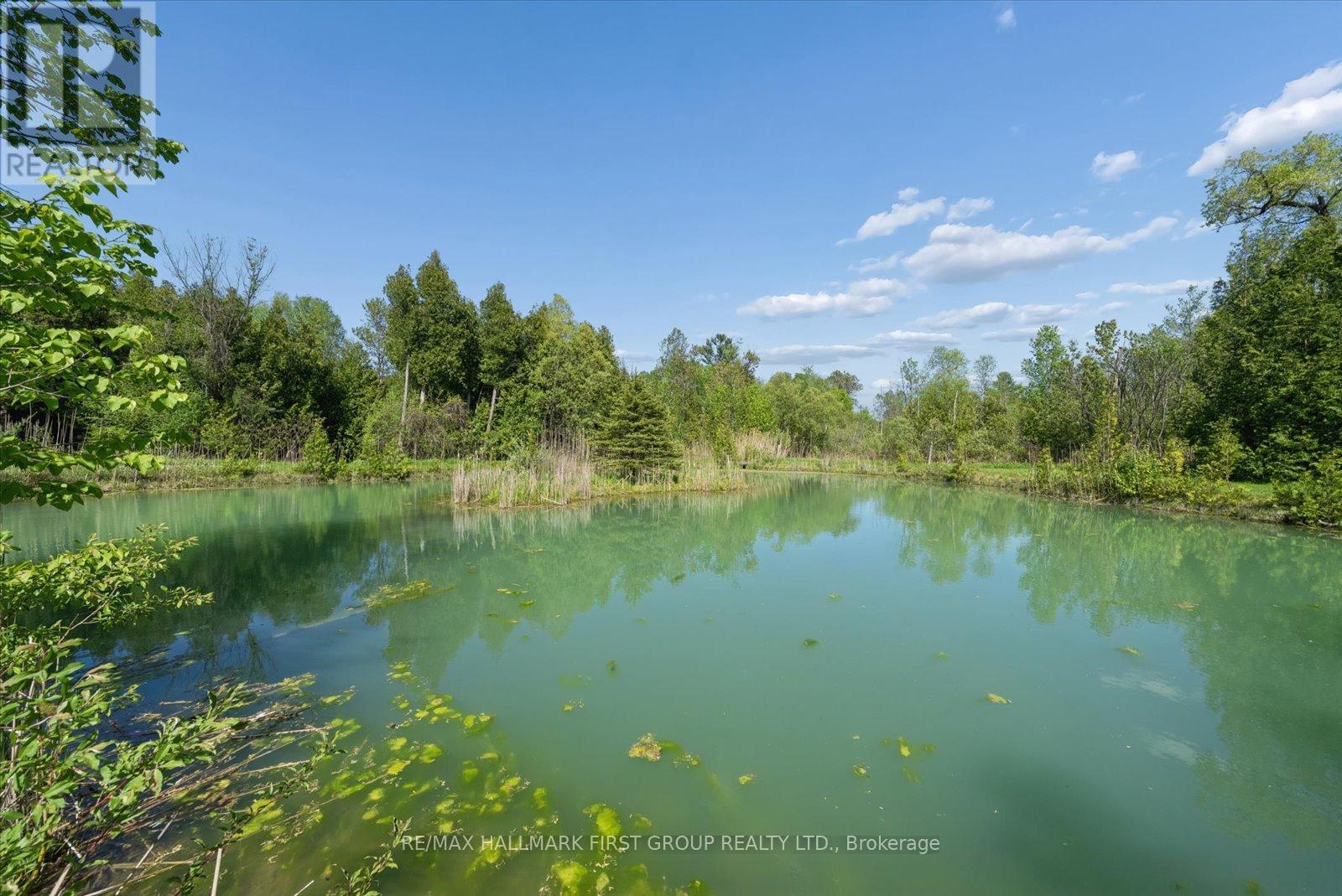 7167 CARSCADDEN ROAD - 41