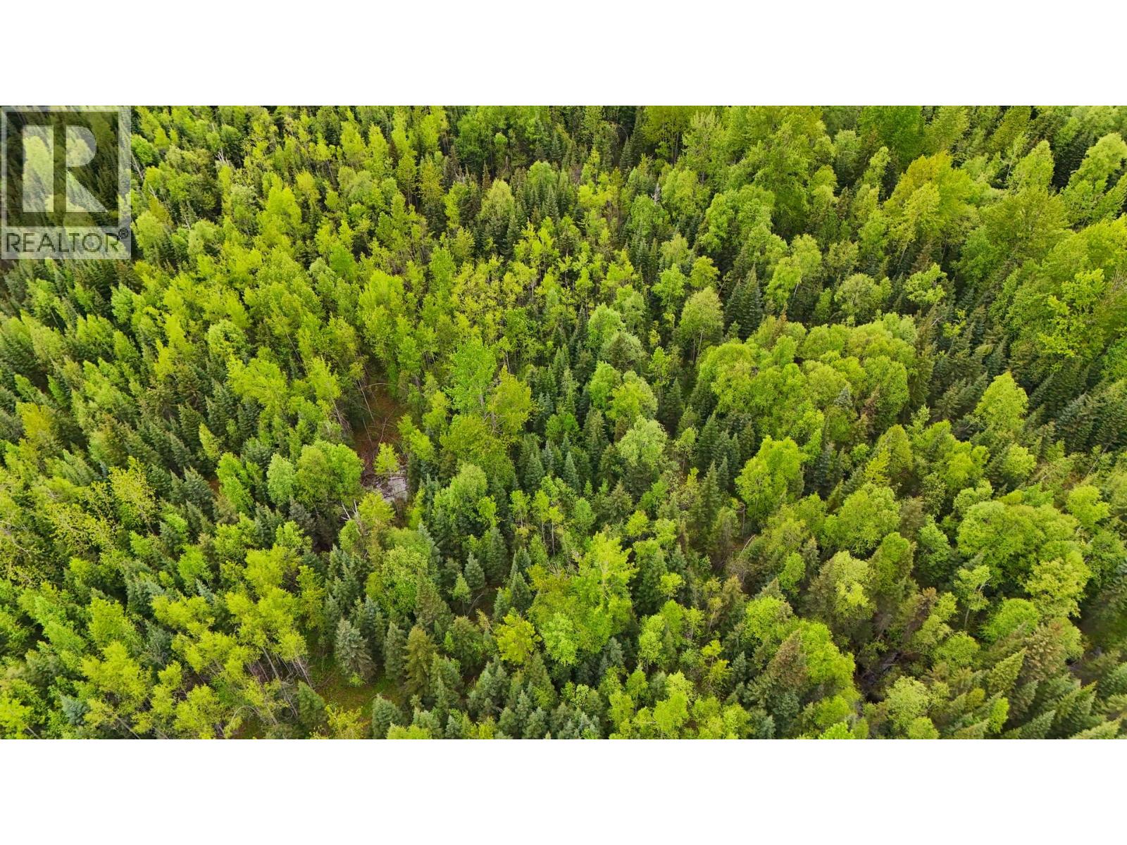 Photo 13 of 22 — DL 9203 BEAVER FOREST ROAD · Prince George, BC
