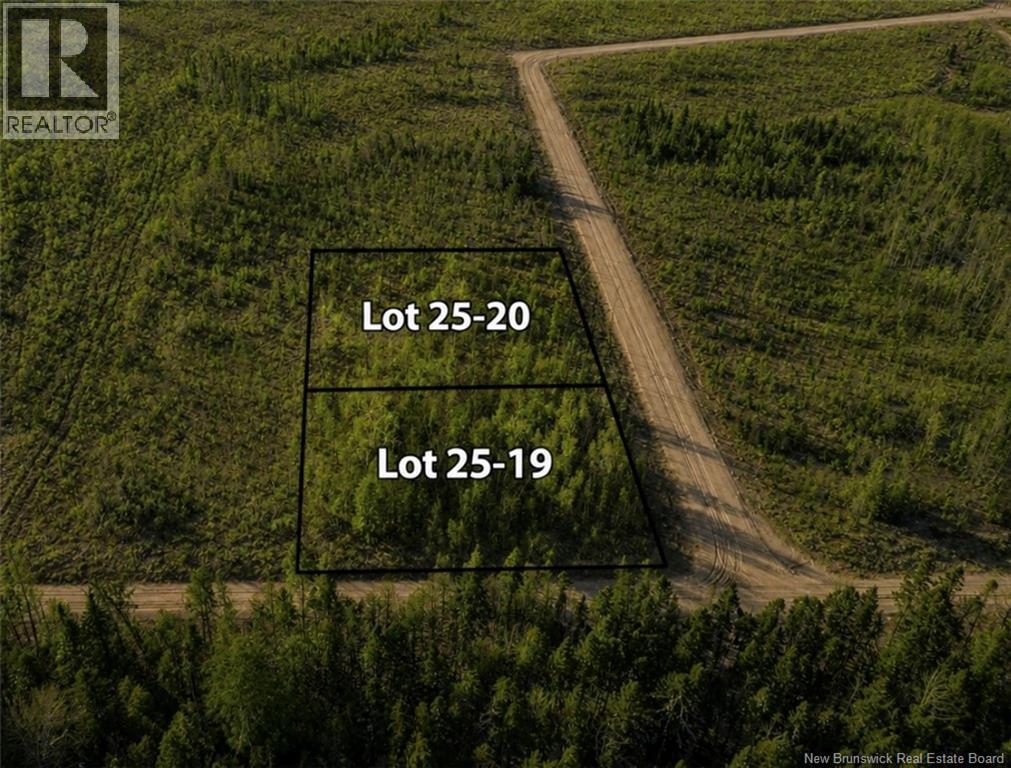 LOT 25-20 Hannay