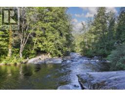 23669 128 Crescent, Maple Ridge, BC V4R1P5 Photo 23