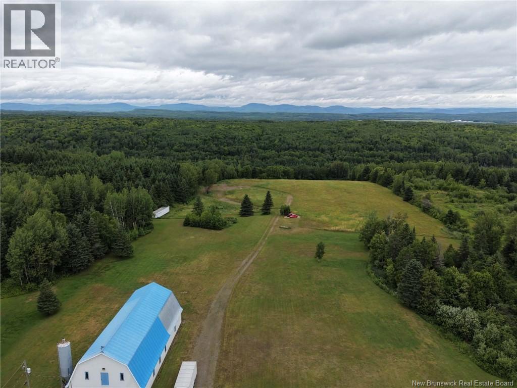 1359 Des Pionniers Avenue - 3