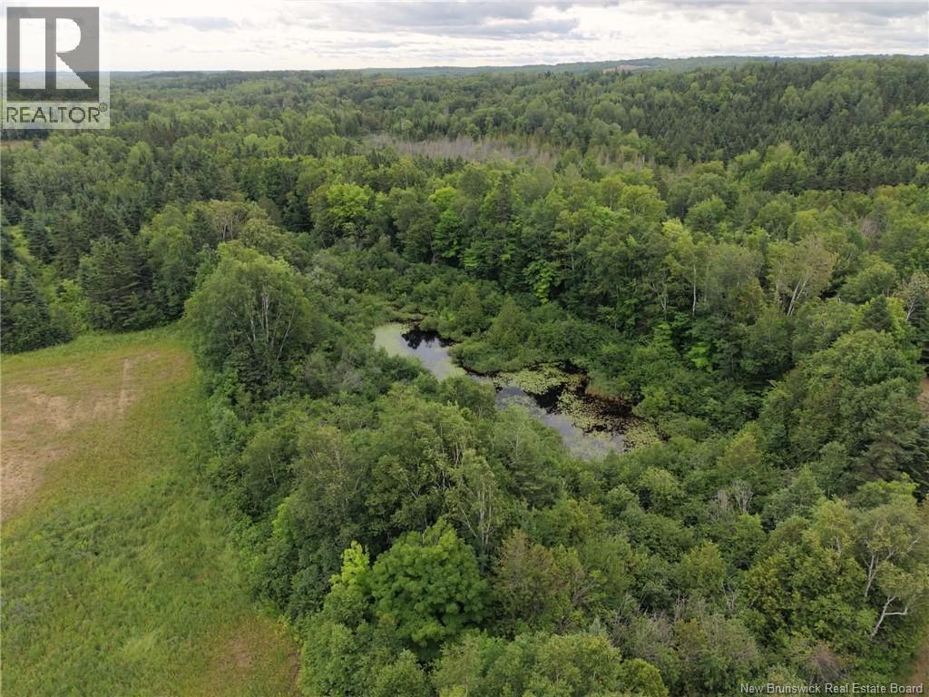 1359 Des Pionniers Avenue - Image 5