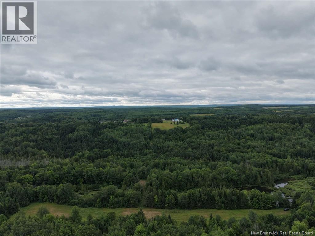 1359 Des Pionniers Avenue - Image 6
