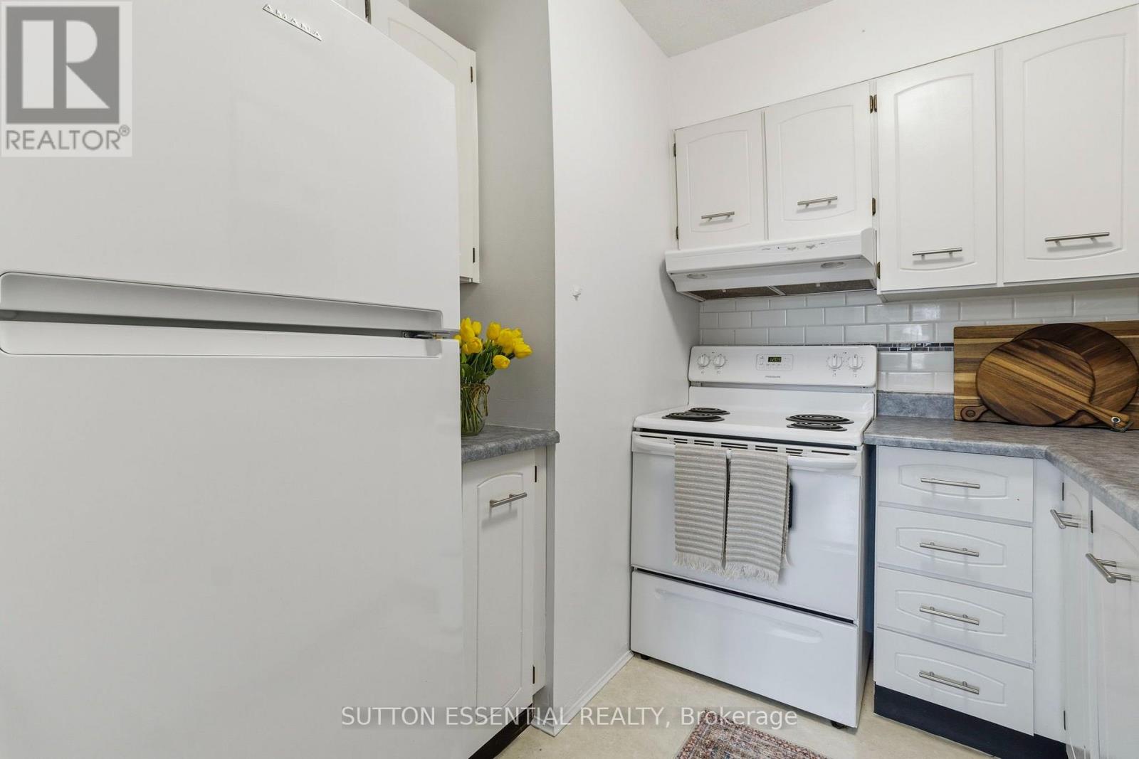 #104 95 WINDSOR DRIVE - 22