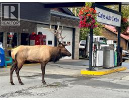 10514 Youbou Rd, Youbou, BC V0R3E1 Photo 28