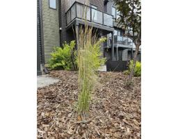 #128 1304 Rutherford Rd Sw Sw, Edmonton, AB T6W0B4 Photo 16