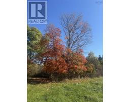 985 Coady Road, Margaree Forks, NS B0E3H0 Photo 6