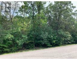 0 Denridge Road, Greater Napanee, ON K0K2Z0 Photo 9