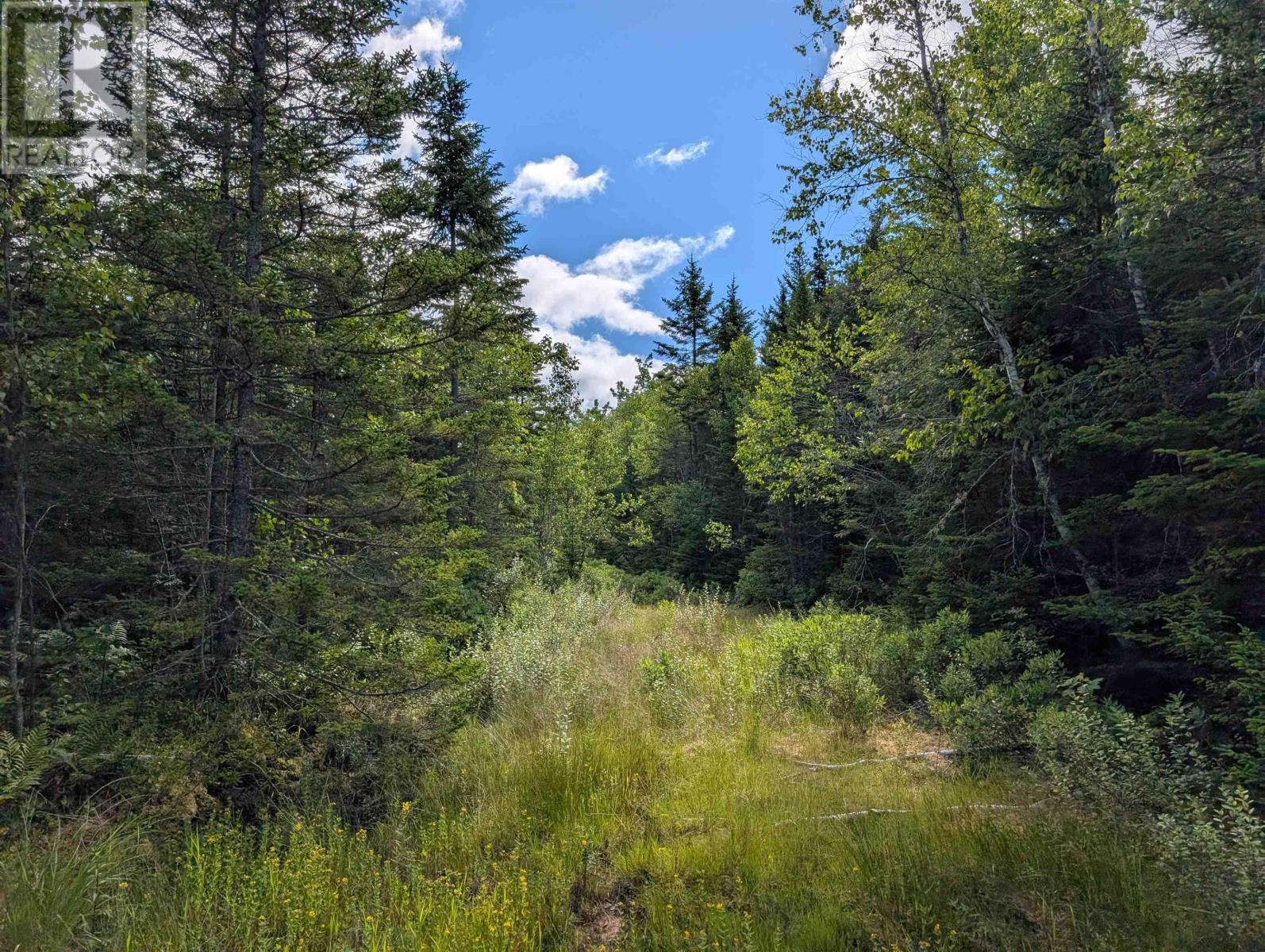 80 Acres Dalrymple Rd Road, Maple Grove — photo 3