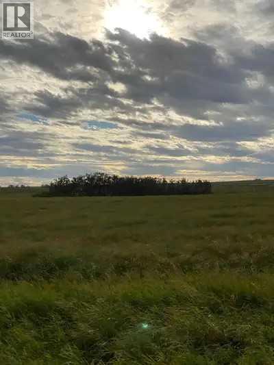 0 Range Road 263 - Photo 5