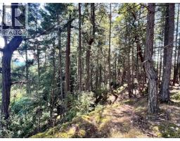 131 Rainforest Rd, Salt Spring, BC V8K1S4 Photo 21
