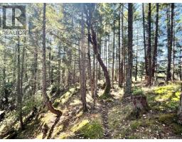 131 Rainforest Rd, Salt Spring, BC V8K1S4 Photo 7
