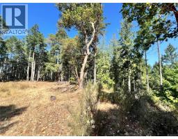 131 Rainforest Rd, Salt Spring, BC V8K1S4 Photo 23