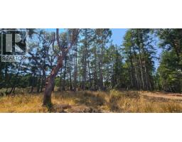 131 Rainforest Rd, Salt Spring, BC V8K1S4 Photo 8