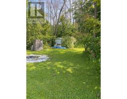 Lot 3 Snake Island Road, Georgina Islands, ON L4P3E9 Photo 16