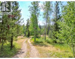 3878 Princeton Summerland Road, Princeton, BC V0X1W0 Photo 49