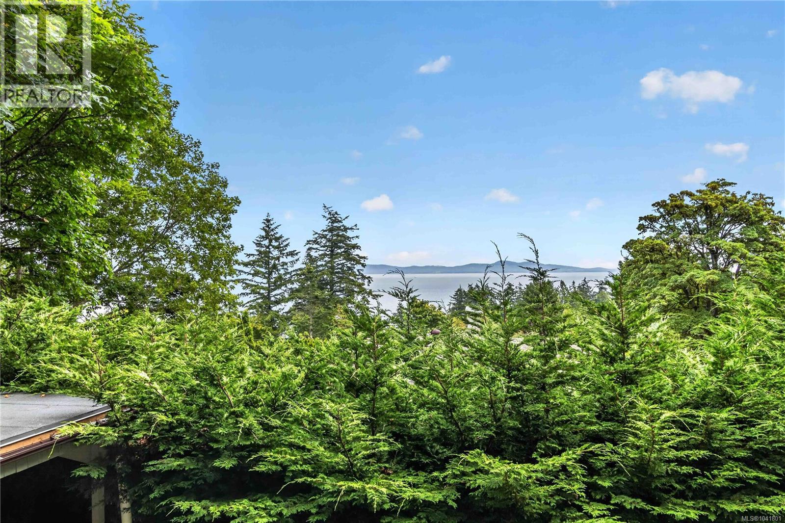 4916 Lochside Dr - 65