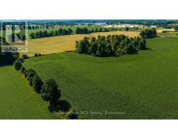 Pt Lt 115-116 Highway 10, Grey Highlands, ON N0C1H0 Photo 10