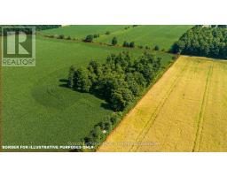 Pt Lt 115-116 Highway 10, Grey Highlands, ON N0C1H0 Photo 13