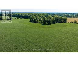 Pt Lt 115-116 Highway 10, Grey Highlands, ON N0C1H0 Photo 8