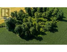 Pt Lt 115-116 Highway 10, Grey Highlands, ON N0C1H0 Photo 9