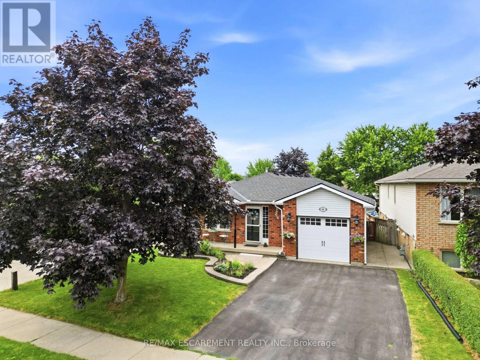 44 MARION STREET - 27