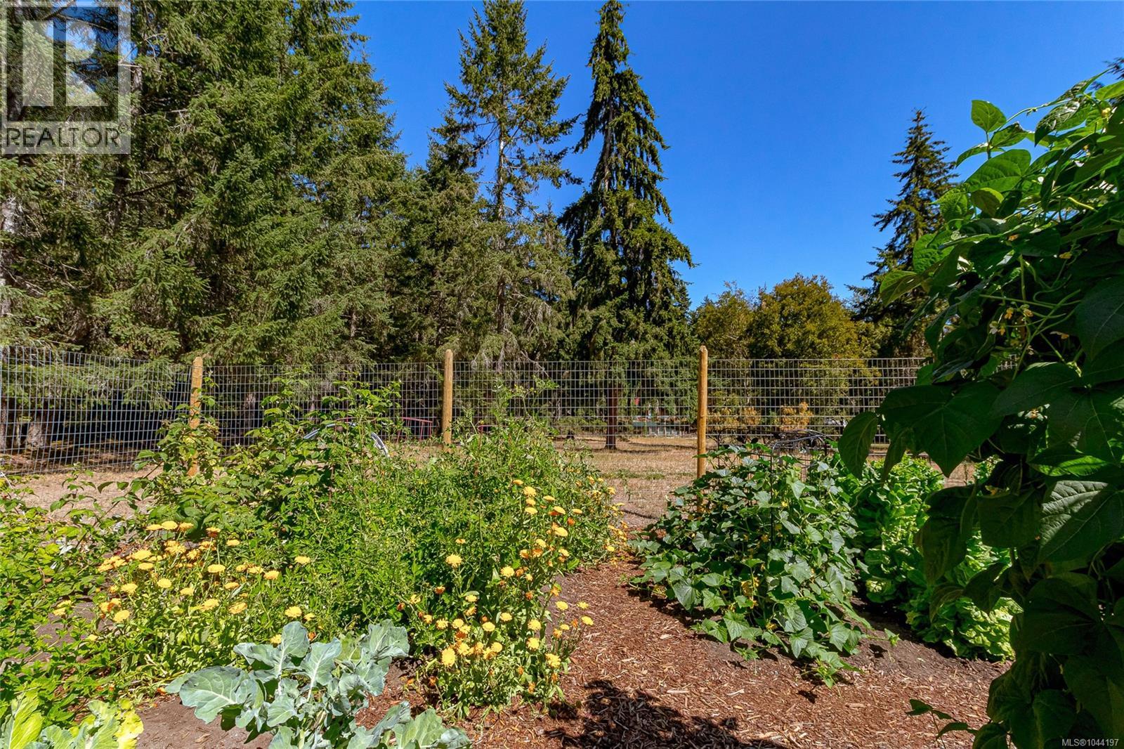 3378 Kilipi Rd - 38