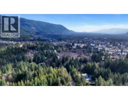 7248 Indian Rd, Lake Cowichan, BC V0R2G0 Photo 48