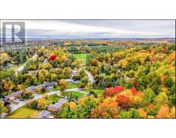 9 Anchor Court, East Gwillimbury, ON L9N1G1 Photo 30
