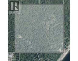 Ls3 Squilax-anglemont Road, Anglemont, BC V0E1M8 Photo 16
