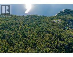 Ls3 Squilax-anglemont Road, Anglemont, BC V0E1M8 Photo 7