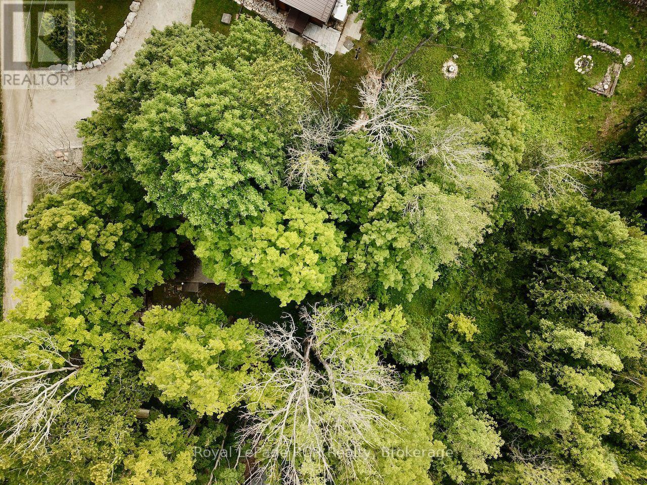 8 MARINO LANE - Image 30