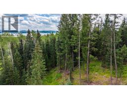 Lot 5 Faessler Road, Bridge Lake, BC V0K1X2 Photo 15