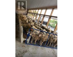 1854 5 Side Road, Ramara, ON L0K1B0 Photo 14