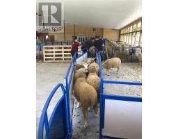 1854 5 Side Road, Ramara, ON L0K1B0 Photo 16