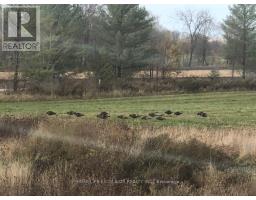 1854 5 Side Road, Ramara, ON L0K1B0 Photo 6