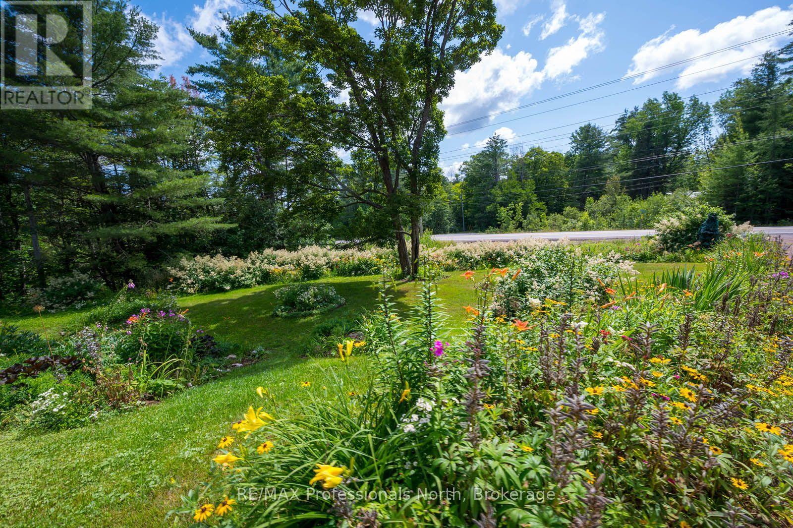 2501 MUSKOKA ROAD 117 HIGHWAY - Image 33
