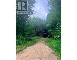 00 B Concession Road 4 Road, Alfred And Plantagenet, ON K0B1L0 Photo 16