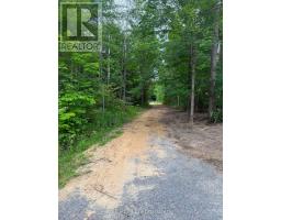 00 B Concession Road 4 Road, Alfred And Plantagenet, ON K0B1L0 Photo 17