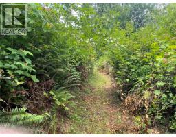 E-575 Quatsino Rd, Quatsino, BC V0N2V0 Photo 19