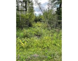 00 A1 Concession Road 4 Road, Alfred And Plantagenet, ON K0B1L0 Photo 11