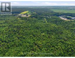 00 A1 Concession Road 4 Road, Alfred And Plantagenet, ON K0B1L0 Photo 9