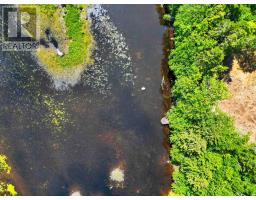 Lot 48 Lower Branch Road, Lower Branch, NS B4V4M4 Photo 15