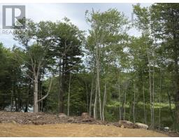 Lot 48 Lower Branch Road, Lower Branch, NS B4V4M4 Photo 6
