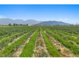 42747 Keith Wilson Road, Greendale, Sardis   Greendale, BC V2R4B3 Photo 14