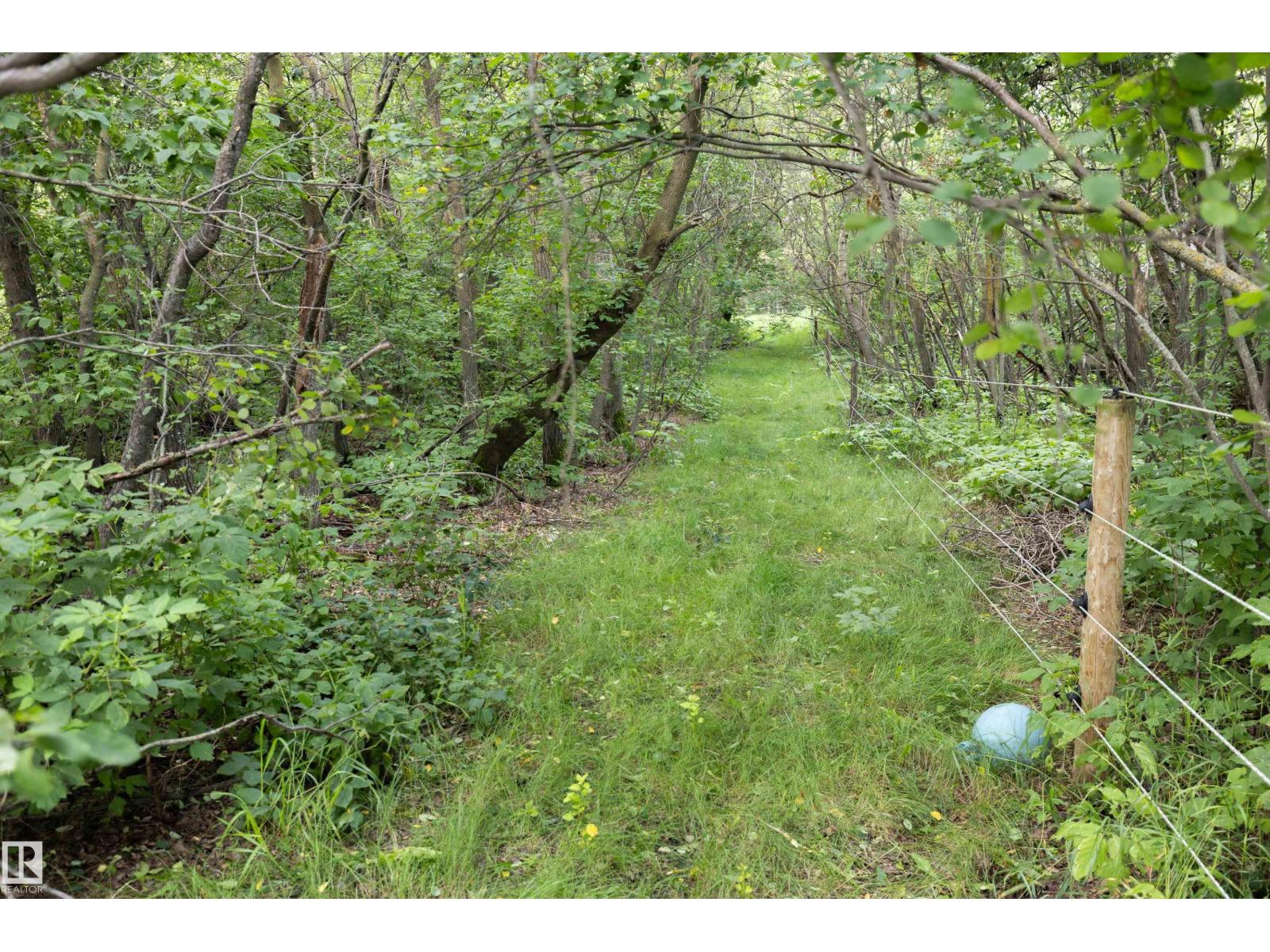 191062 HWY 16 - Image 50