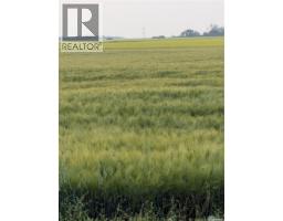 Dairy Farm, Laird Rm No  404, SK S0K4R0 Photo 6