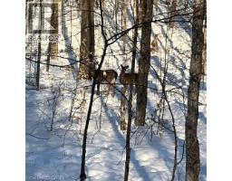 5 Mountain Basin Drive, Parry Sound, ON P2A2W9 Photo 8