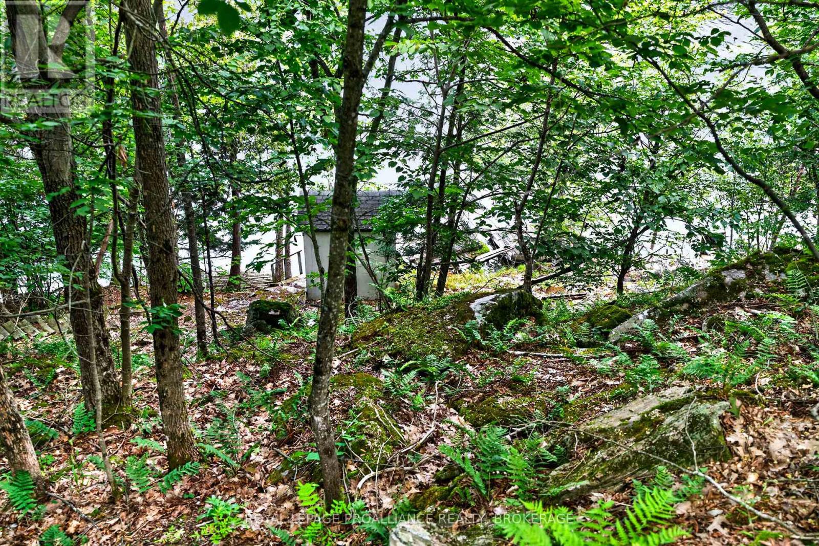 119 CLIFF VIEW LANE - Image 28